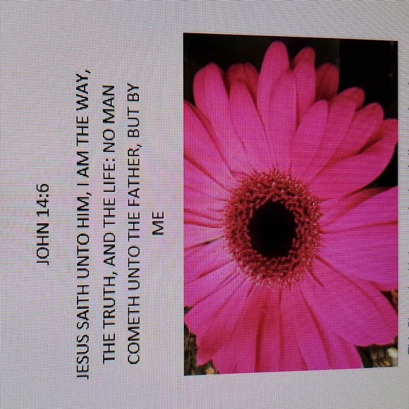 Meet your Posher, Shanita - Picture 2 of 2